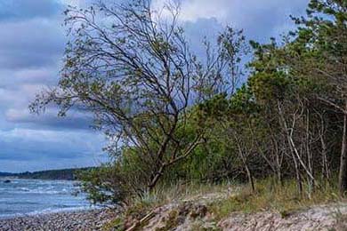 Aster核心选手状态火热