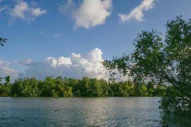 Cloud9发布选手高光集锦